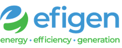Logo Efigen